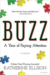 Buzz - A year of paying attention